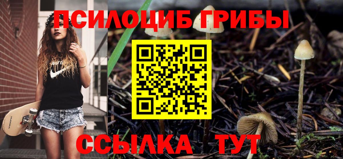 Псилоцибиновые грибы мицелий  Вход с VPN  продажа наркотиков  Каспийск 